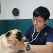 10天前黄疸，肝肾损...