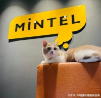 给宠物也整点儿“补品”！