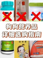 狗狗营养品到底该不该买？✅详细选购指南