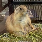 《【每日Tips 3...