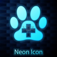 发光的霓虹灯兽医诊所标志图标孤立在砖墙的背景。十字医院的迹象。一个程式化的爪印狗或猫。宠物急救标志。矢量图图片