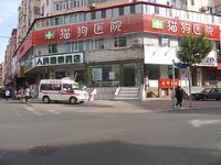 【荐】哈尔滨宠物医疗夜间急救中心资讯