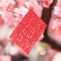 宠物手术后怎么护理