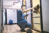宠物医生王健伟 一年为600只狗开刀