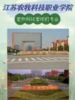 江苏农牧科技职业学院宠物科技学院有什么专业
