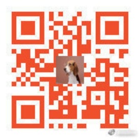 【藏猫猫爱狗狗】230.猫膀胱炎治疗