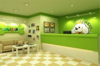 兽医赚钱项目：开启专业兽医服务，把握亿万宠物市场的创业商机