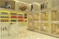 抓住宠物的胃，占领宠物户外市场：宠物户外装备的潜力与机遇