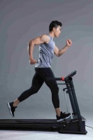 宠物户外装备的市场前景,以下信息要了解！