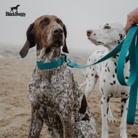 BlackDoggy 多功能外出遛狗便携拾便包宠物外出用品