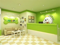 了解宠物饰品，让你轻松创业致富！