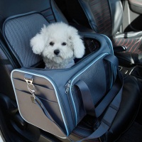 出门别再牵着狗了，现在流行这种宠物背包，方便又卫生