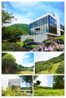 北京原来也有这么温情的宠物殡葬服务机构之翡翠森林介绍宠物火化