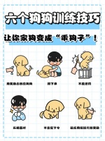 六个狗狗训练技巧