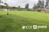 走近烟台宠物培训：正向激励 助力文明养犬