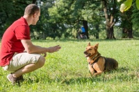 小狗怎么训练它才能听话？掌握这五个秘诀，让它变得乖巧懂事