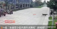 遛狗不拴绳，女童血洗草地！如何避免宠物伤人？宠物培训成新蓝海