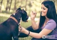 训犬的好处，远比你想象的多！