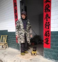 如何提高狗狗的服从性，让训练更加轻松！