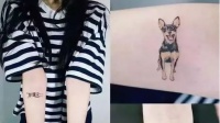 【纹话题】你的十年或许就是它的一生，宠物纹身你要不要来一个
