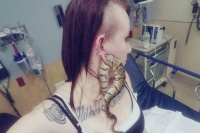 35岁女子把宠物当耳环戴，结果取不下来，就医时连医生都被吓到！