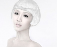 宠物假发发展前景加盟