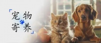 宠物寄养火爆背后，是怎样的生意经？