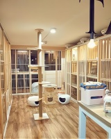 把握宠物托运市场，开启你的创业之路！