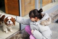 宠物主必读：养宠新手入门与日常护理技巧