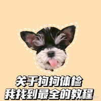 关于狗狗体检 我找到最全教程