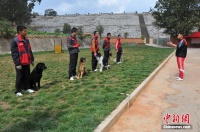 昆明退伍兵建“宠物犬学校”发家致富