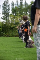 一周的专业宠物训练营课程结束了