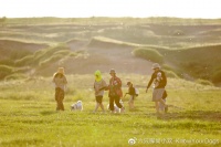 六只脚介绍及知识检索