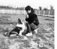 宠物训导师行业介绍