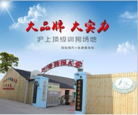 狗狗学校最新训狗报价表