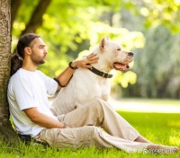 狗狗的心理健康：如何应对你的狗...@985回忆的动态