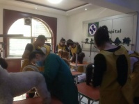 沧州专业的宠物学校，{yl}的宠物美容学校