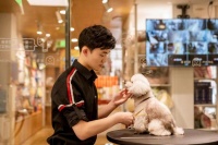 淘宝发力宠物服务赛道：引入230家“宠物家”门店提供护理服务