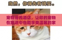 宠物寄养酒店，让您的宠物在旅途中也能享受温馨的家