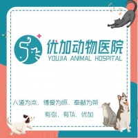 【白云区贝宠宠物医疗中心】白云区贝宠宠物医疗中心电话，白云区贝宠宠物医疗中心地址