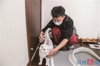 洁宠师市场需求大增 为养宠家庭提供深度保洁