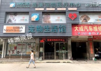 株洲维康宠物医疗中心被曝无证行医，给宠物做手术致死