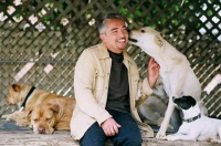 玄之又玄的宠物沟通师：“一次300元，我能与你家狗连接”