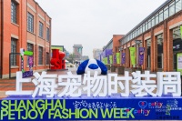 “宠物时尚”当下市民文化新潮流