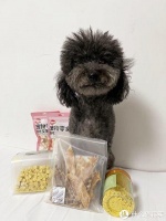 狗狗的零食如何选择？买过的宝藏宠物零食推荐