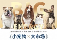 国内知名学府孵化“金南农”项目，引领宠物保健品市场蓝海