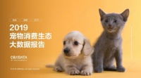 CBNData 发布《2019宠物消费生态大数据报告》，上海消费最高