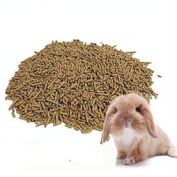 发掘宠物营养行业的潜力，让你的创业之路越走越宽广！