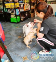 一起来看，“汪星人”的本命年夏日百态