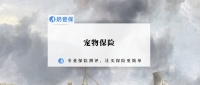 宠物保险有哪些公司？哪款比较好？怎么选？